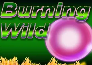 Burning Wild game screenshot